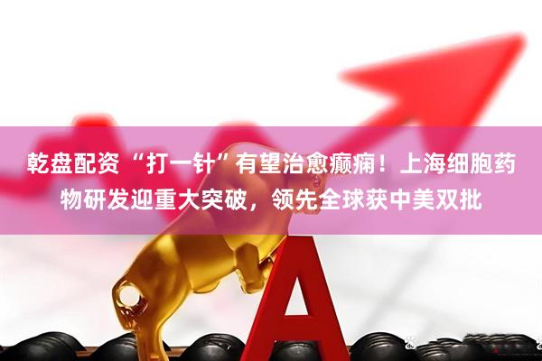 乾盘配资 “打一针”有望治愈癫痫！上海细胞药物研发迎重大突破，领先全球获中美双批