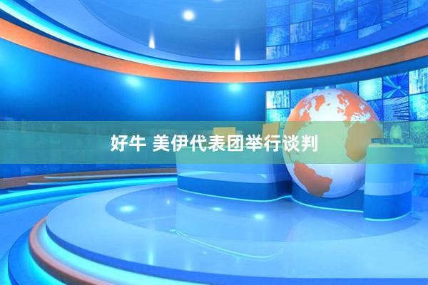 好牛 美伊代表团举行谈判
